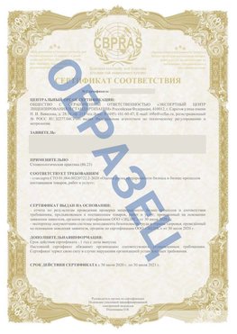 Образец Сертификат СТО 01.064.00220722.2-2020 Кыштым Сертификат СТО 01.064.00220722.2-2020 